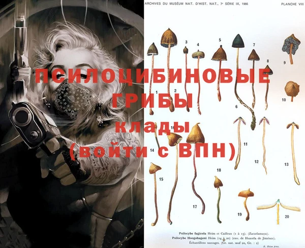 a pvp Покров