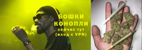 трава Покачи
